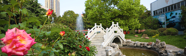 鄭州萬通汽車學(xué)校_花園式校園